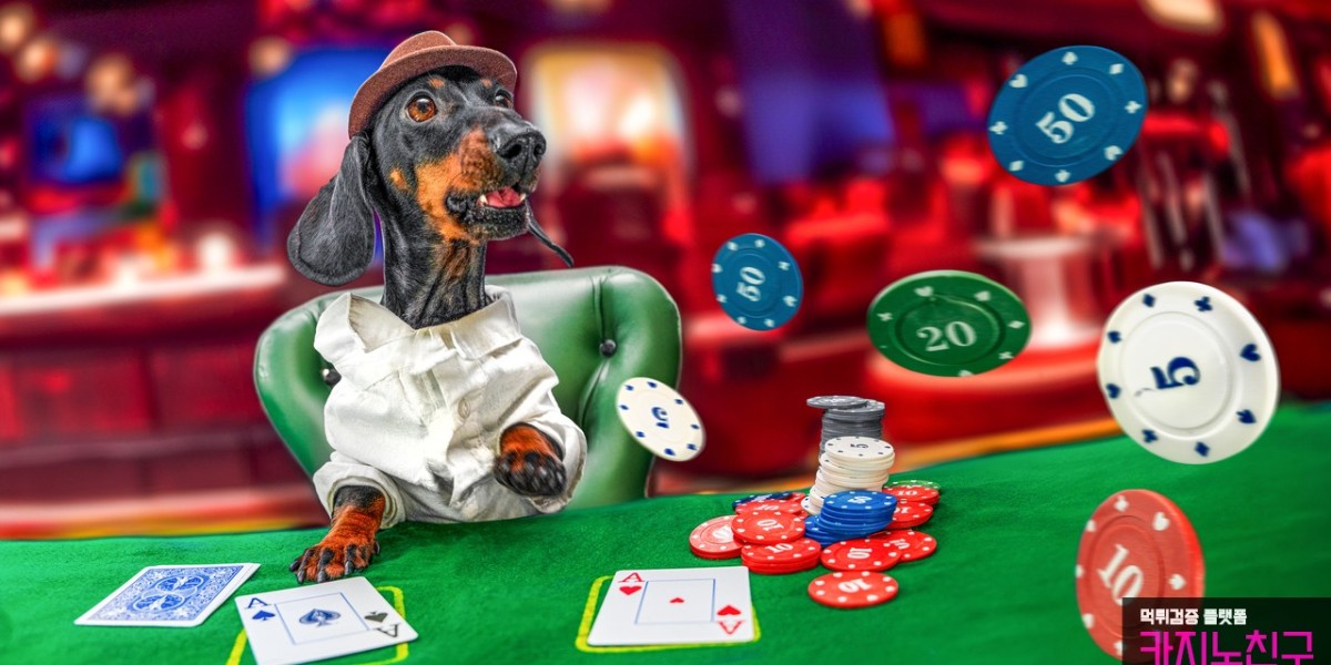 Verifying Your Gaming Experience: Casino79 and Evolution Casino